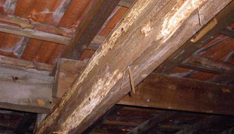 Traitement de charpente à Gagny (93220) en Seine Saint Denis (93) 93 Traitement de charpente à Gagny (93220) en Seine Saint Denis (93) 93