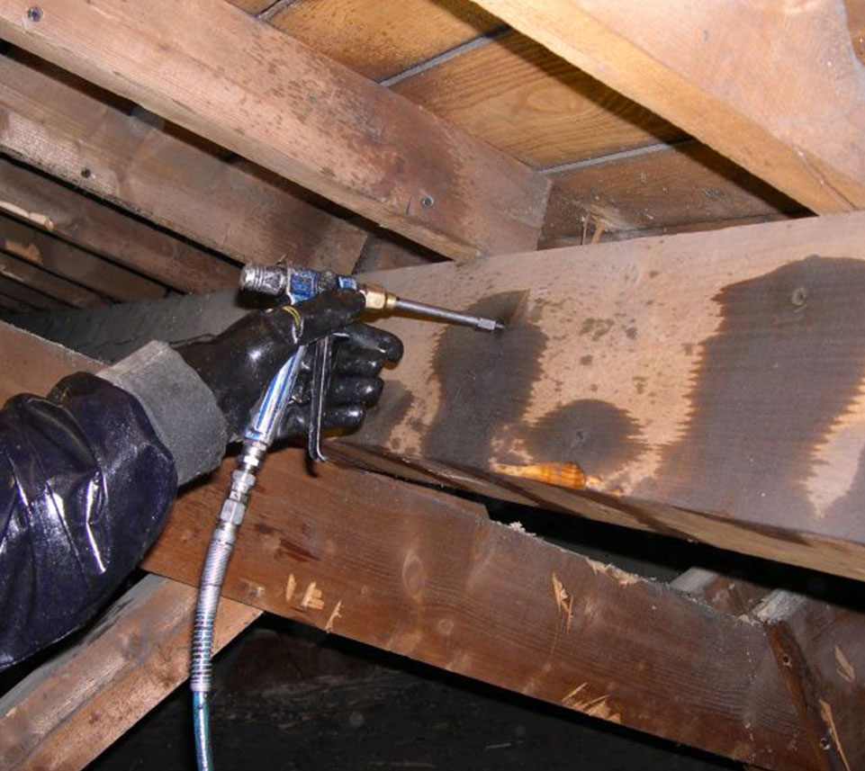 Traitement de charpente à Gagny (93220) en Seine Saint Denis (93) 93 Traitement de charpente à Gagny (93220) en Seine Saint Denis (93) 93